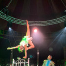 Dinnershow Premiere5.jpeg