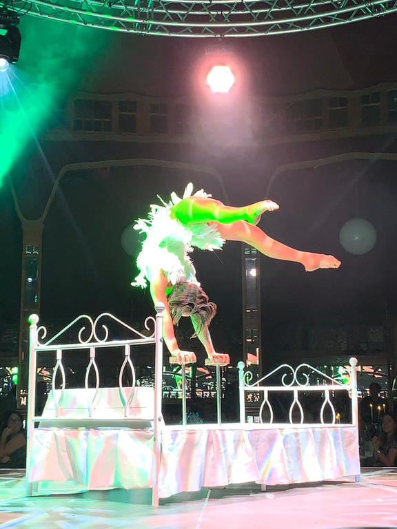 Dinnershow Premiere6.jpeg