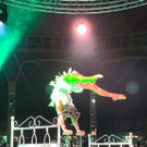 Dinnershow Premiere6.jpeg