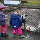 Nikolaus im Wildpark (2019)