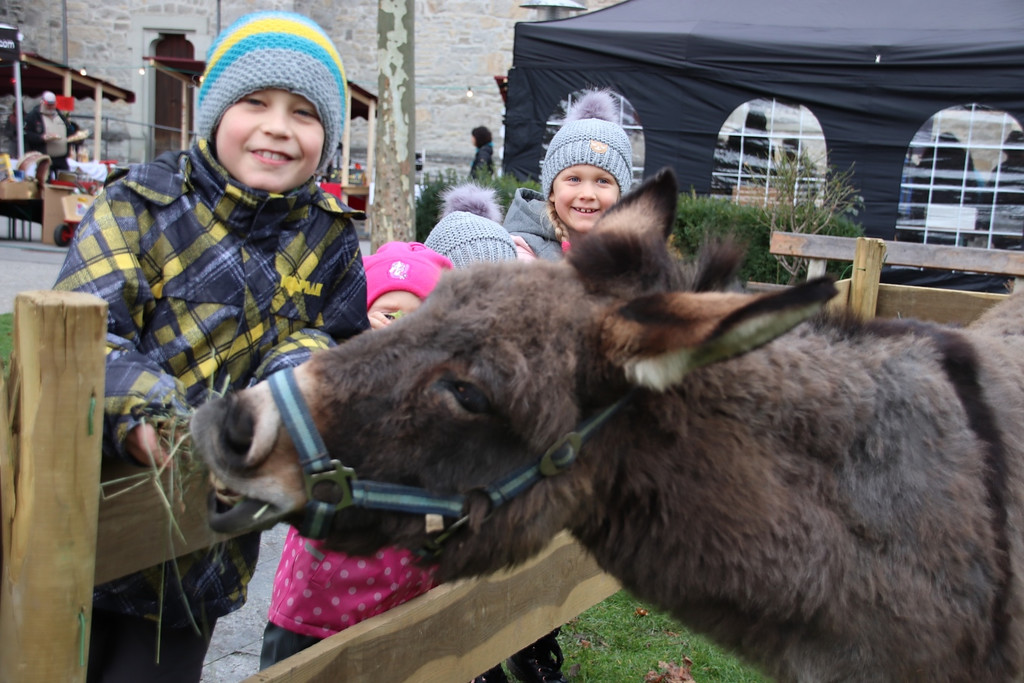 Weihnachtsmarkt Schwarzach 7.jpg