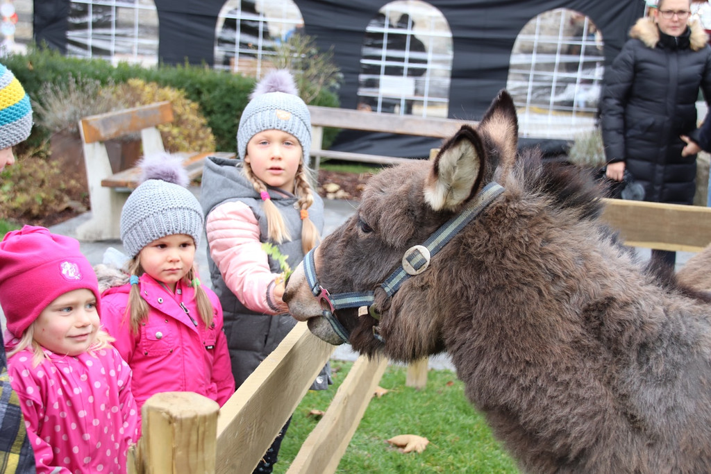 Weihnachtsmarkt Schwarzach 7b.jpg