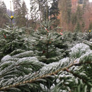 IMG_7623.JPG