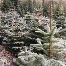 IMG_7580.JPG