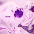 phoenix_rising_bath_melt_community_2019.jpg