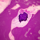 phoenix_rising_bath_melt_community_2019-2.jpg