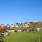 IMG_20191204_142603.jpg