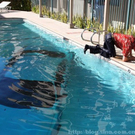 Funny_Accidents_2_17.jpg
