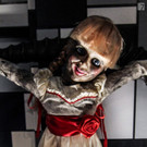 IMG_1627-2_JPG-1575733907.jpg