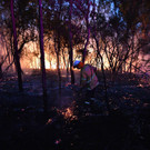 AFP_1MV5YF.jpg