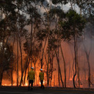 AFP_1MV5Y9.jpg