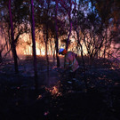 AFP_1MV5YF_1.jpg