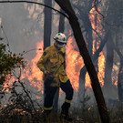 AFP_1MV5B3.jpg