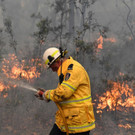 AFP_1MV5BH.jpg