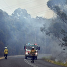 AFP_1MV5B9.jpg