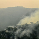 AFP_1MV5BJ.jpg
