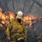 AFP_1MV5B7.jpg