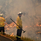 AFP_1MV5BC.jpg