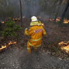 Australia_Wildfires_19236.jpg
