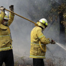 Australia_Wildfires_17071.jpg