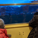 IMG_20191204_170054.jpg