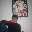502450.jpg