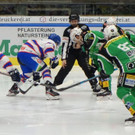 DSC07626.JPG