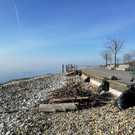 Seehotel AKTION Seeuferreinigung 03-12-2019 _2_.jpg