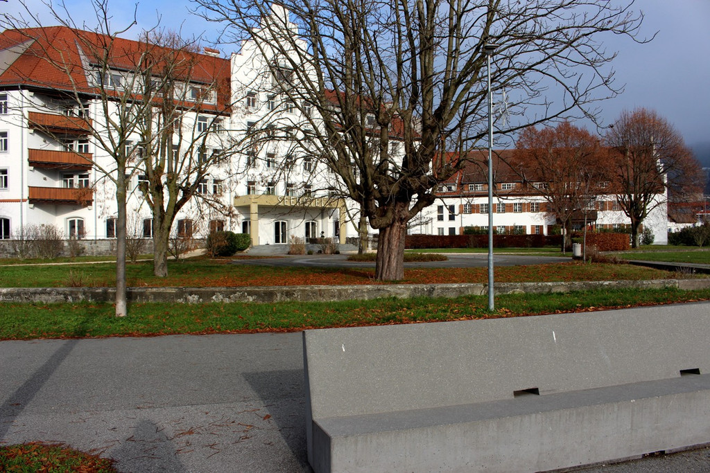Seehotel AKTION Seeuferreinigung 03-12-2019 _30_.JPG