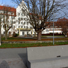 Seehotel AKTION Seeuferreinigung 03-12-2019 _30_.JPG