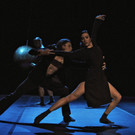 Scabora_Cador_c_Ing_ W_ Mayer.jpg