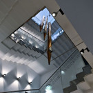 ABD0062-20191210.jpg