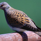 ABD0027-20191212.jpg