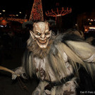 DSC_8155.JPG