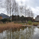 DSC_2133.JPG