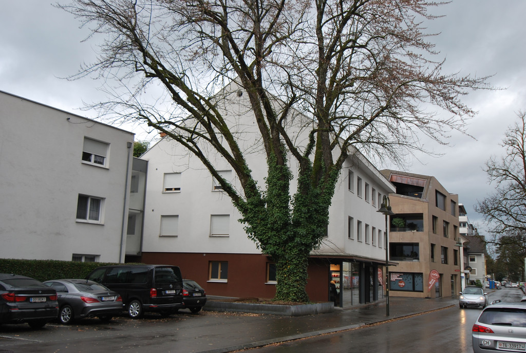 DSC_2137.JPG