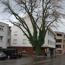 DSC_2137.JPG