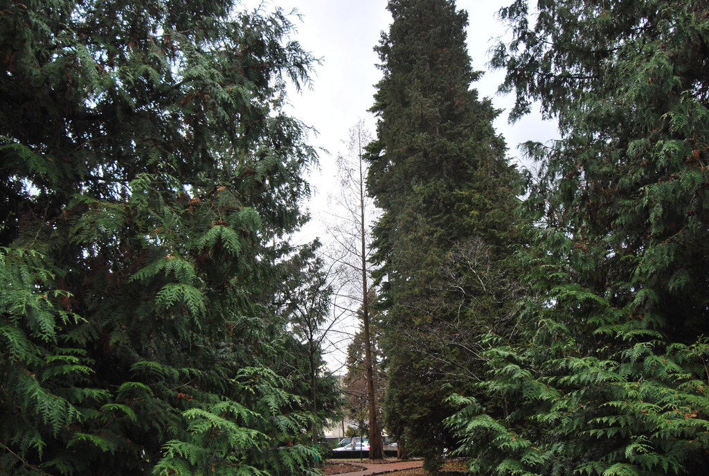 DSC_2125.JPG