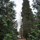 DSC_2125.JPG