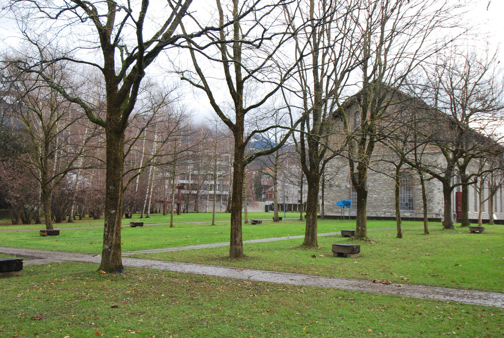 DSC_2130.JPG