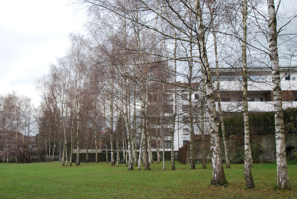 DSC_2134.JPG