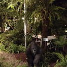 IMG-20191208-WA0061.jpg