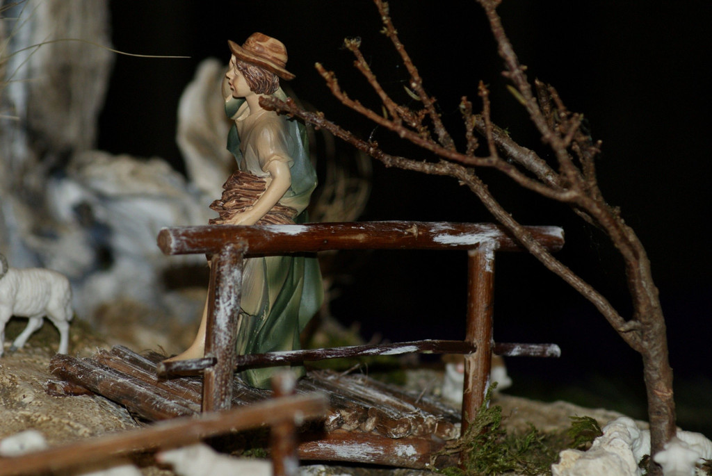 DSC02905.JPG