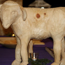 DSC02906.JPG