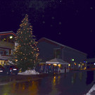 DSC_7930.jpg