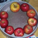 518470.jpg