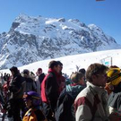 519259.jpg