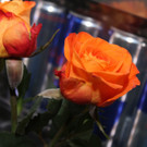 IMG_3789_jpg-1577015181.jpg