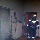 Feuerwehreinsatz nach Christbaumbränden in Wien