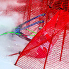 ABD0007-20191229.jpg